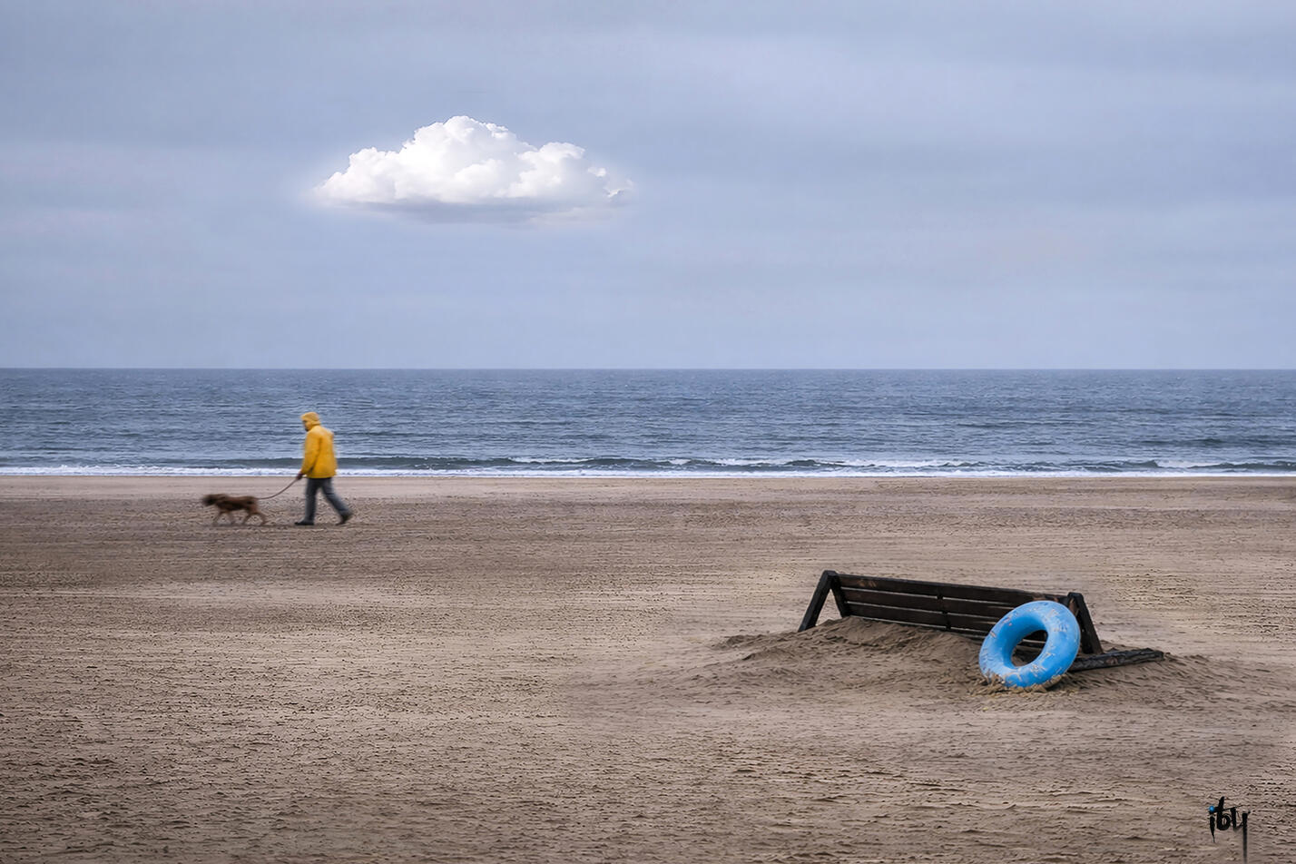 Solitude - Aluminium artbox noir - 105X70 cm - 500€.